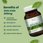 Gotu Kola 600mg Tablets - Image 3