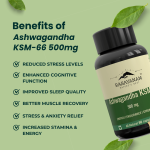Ashwagandha KSM-66 500mg Capsules - Image 3