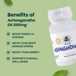 Ashwagandha DS 500mg Capsules - Image 3