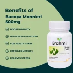 Bacopa Monnieri 500mg Veg Capsules - Image 3
