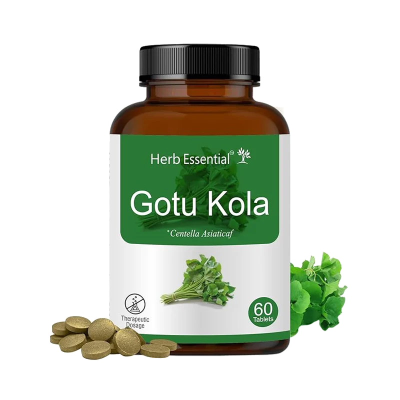 gotu_kola_herbs Gotu<br> Kola 500mg Tablets - Image 1