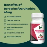 Berberine/Daruharidra 450mg Vegan Capsules - Image 3