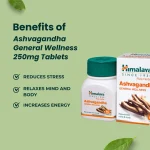 Ashvagandha General Wellness 250mg Tablets - Image 2