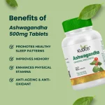 Ashwagandha 500mg Tablets - Image 2