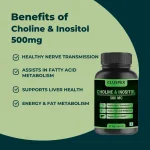 Choline & Inositol 500mg Veg Capsules - Image 3