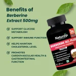 Berberine Extract 500mg Capsules - Image 3