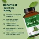 Gotu<br> Kola 500mg Tablets - Image 3