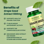 Grape Seed Extract 500mg Veg Capsules - Image 3